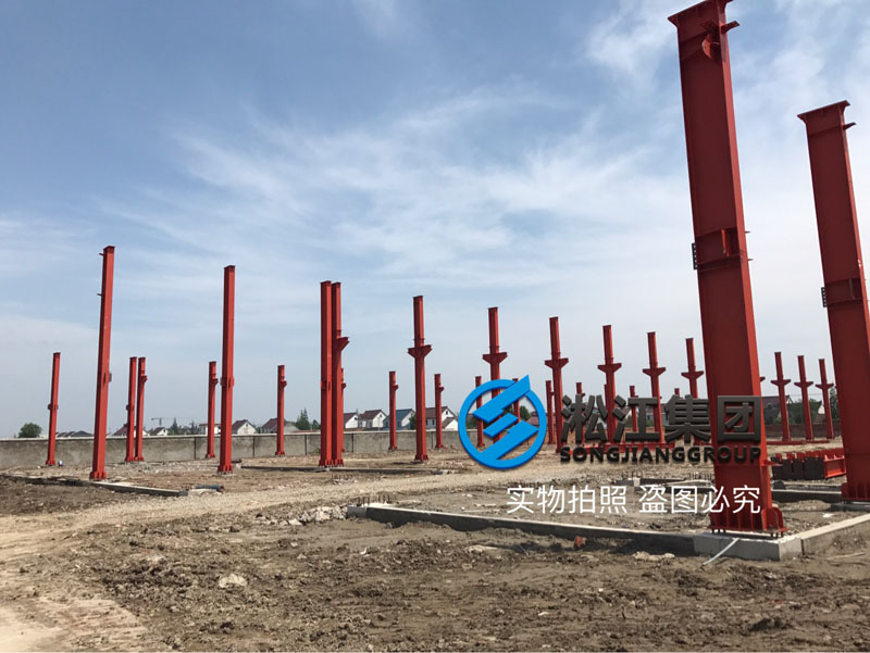 上海淞江集团南通工厂年产120万件减震器项目进度跟踪