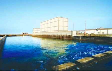 沙特拉比格海水淡化橡胶接头 沙特拉比格海水淡化橡胶接头